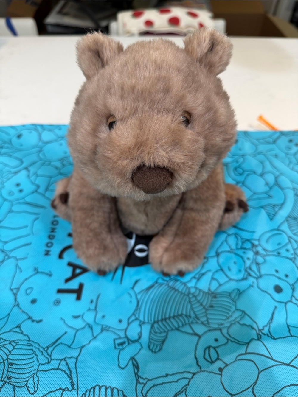 Jellycat Wonda Wombat NWT